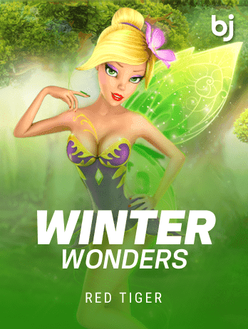 উইন্টার ওয়ান্ডার্স game icon